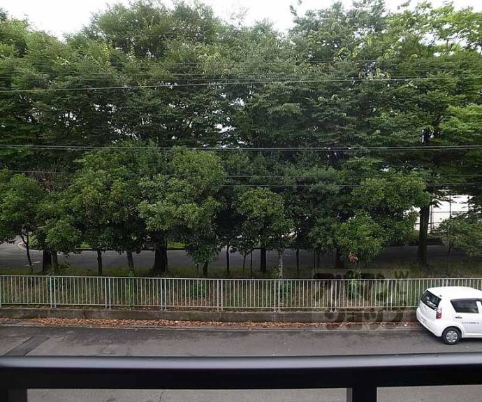 【ボヌール アヴニール Ⅲ】間取