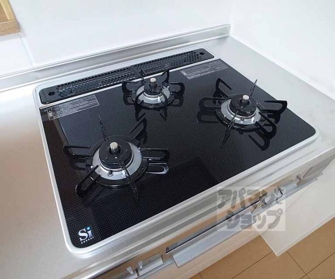 【カーサスカイ　Ⅳ】間取