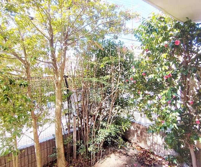 【山科不二サンハイツ】間取