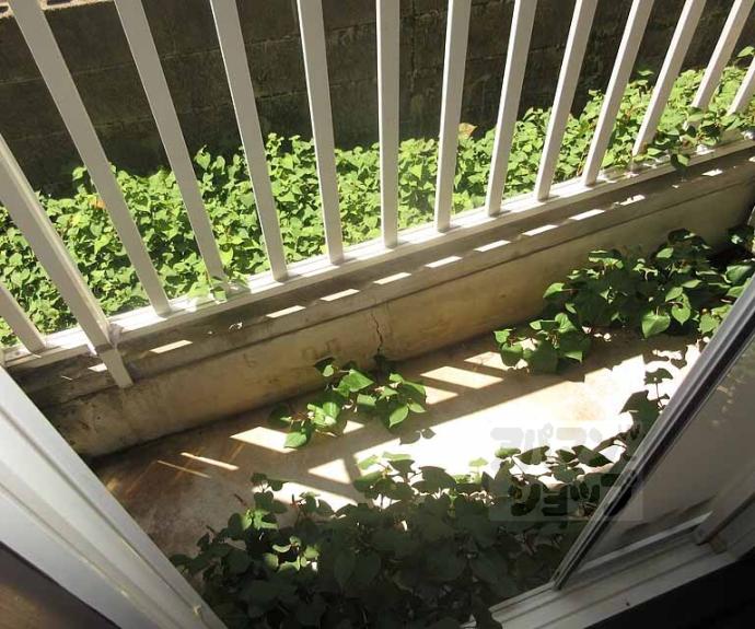 【コーポ林】間取