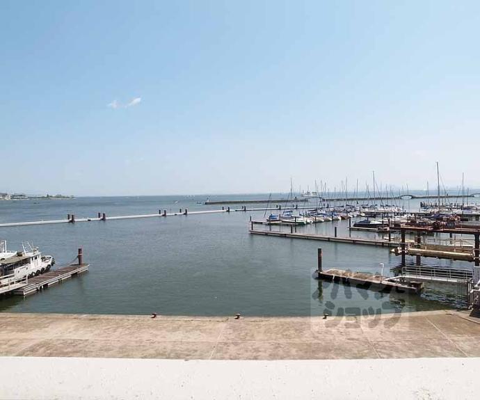 【エリセオびわ湖(ベルヴィ55)】間取