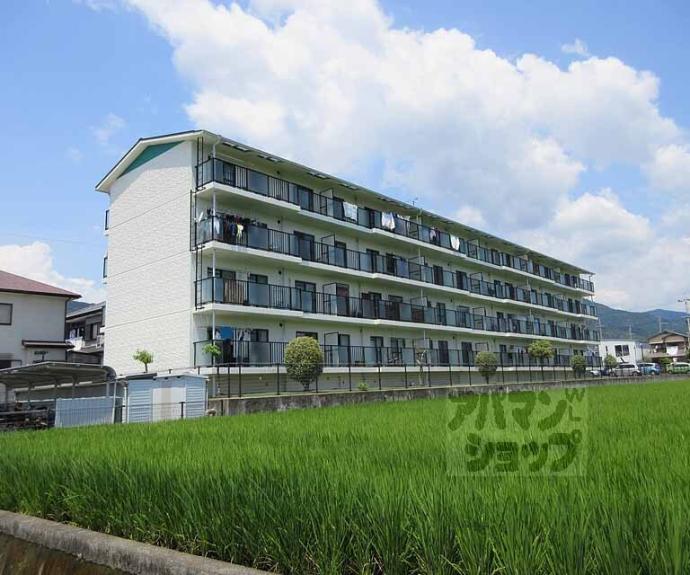 【サンパティック8】間取