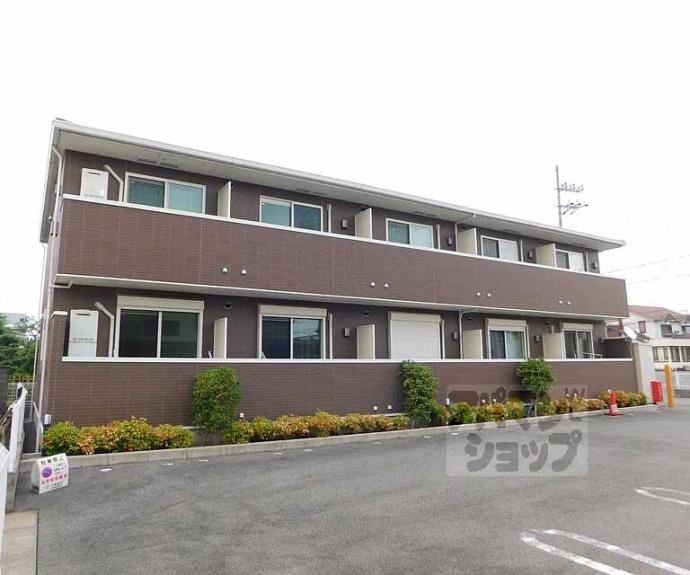 【momoの樹】間取