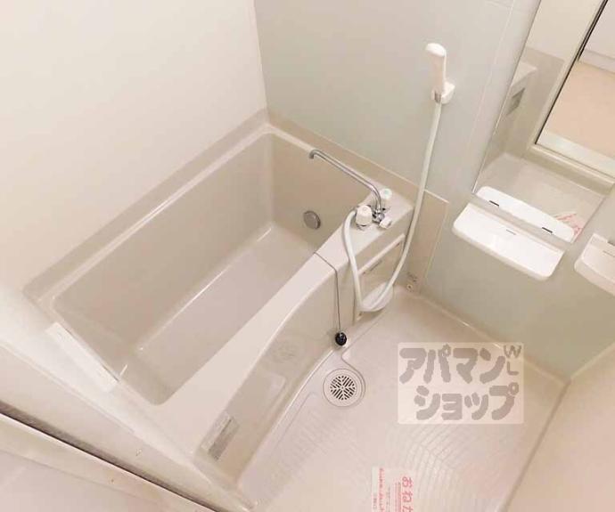 【ｍｏｍｏの樹】間取