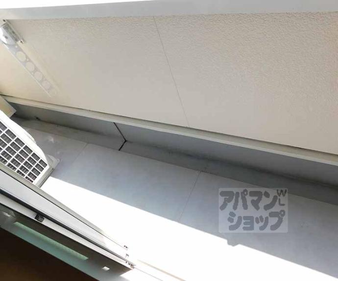 【ｍｏｍｏの樹】間取