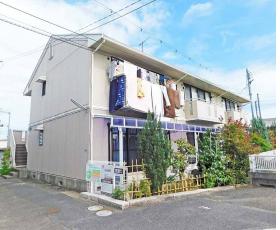 セジュール真野：間取図