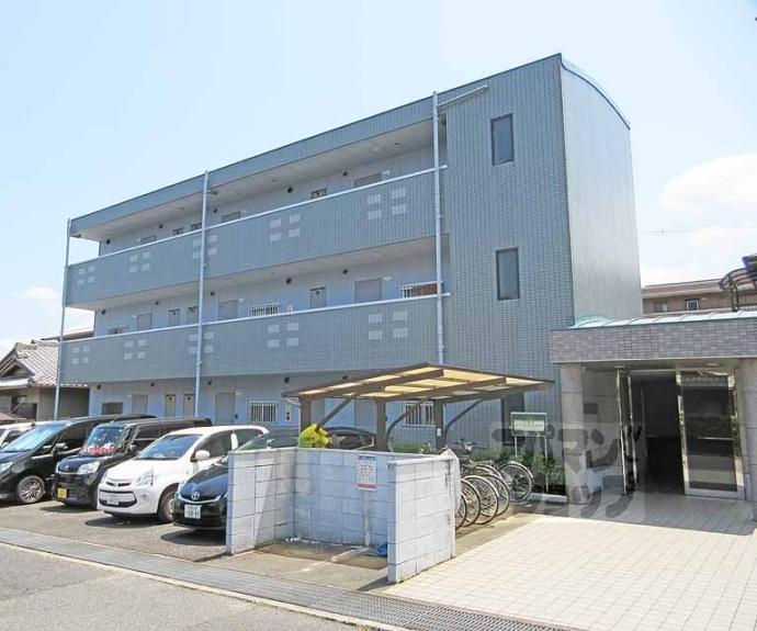 【ハイツルピナス】間取