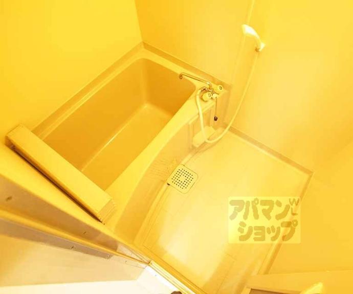 【ハイツルピナス】間取