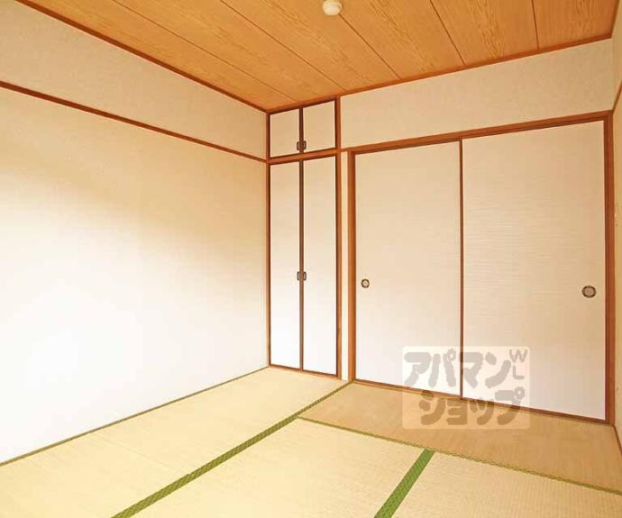 【ハイツルピナス】間取