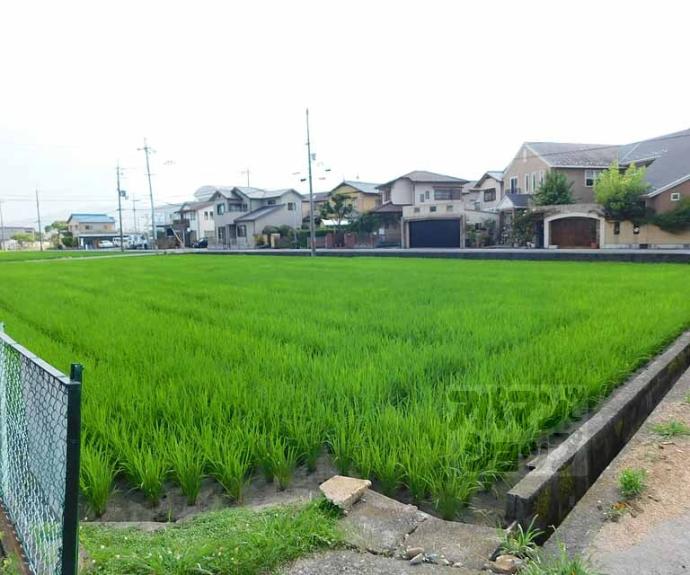 【寺田荘】