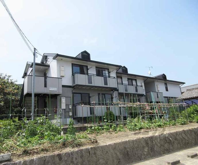 【アラサンテコジマ】間取