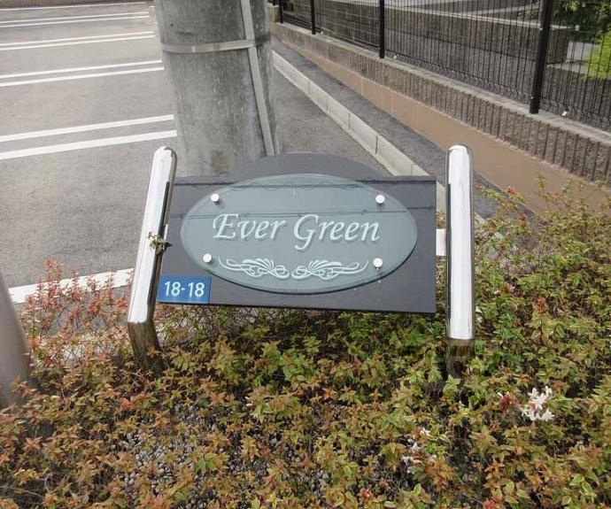 【Ever Green】