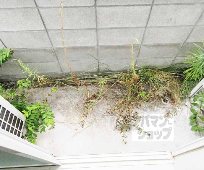 【ハイム西川ＳＥＴＡ】間取