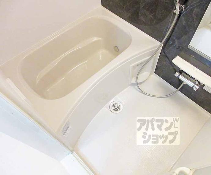 【Ｄｉｅｕ　Ｌａｃ】間取