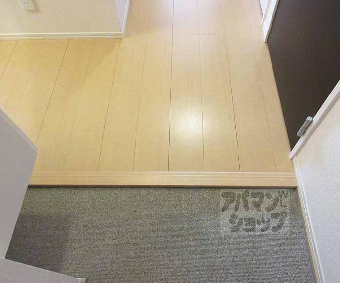 【カサレリアⅡ】間取