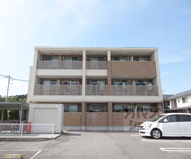 プラシード桜