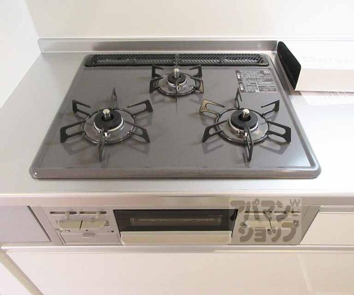 【Ｓａｎ　ｄｕ　Ｗｉｌｌ　２】間取