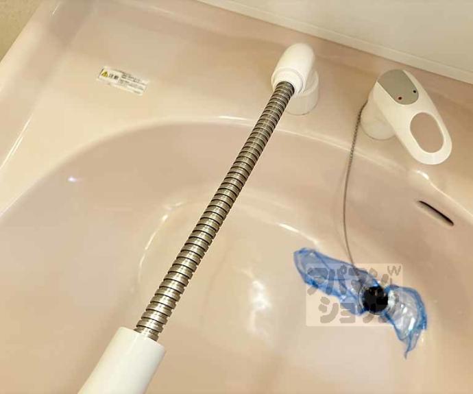 【シャリテ高橋川】間取