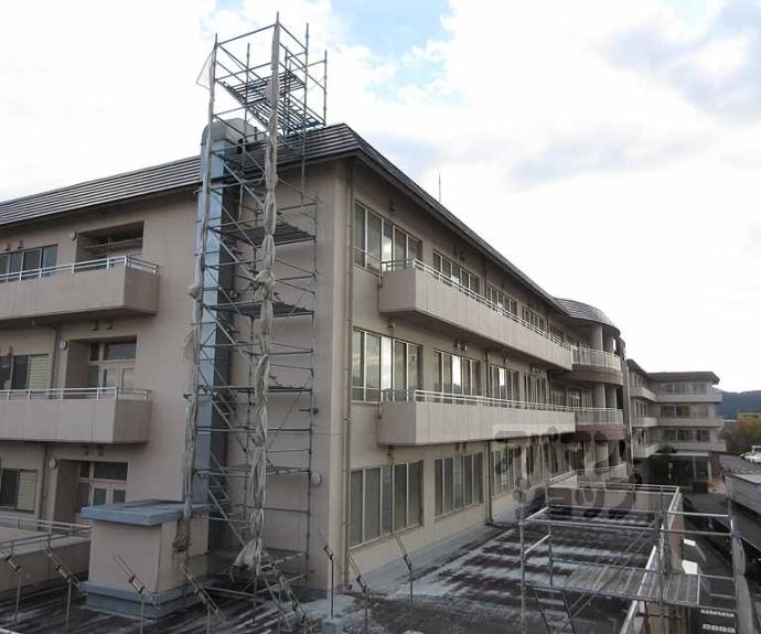 【Casa raffine 瀬田 B棟】間取