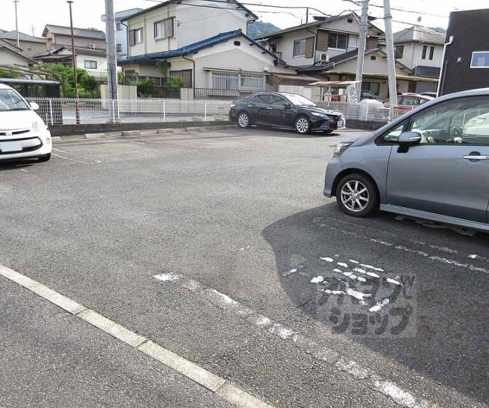 【プラシード・アロッジオⅡ】