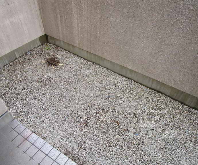 【コートハウス紫明】間取