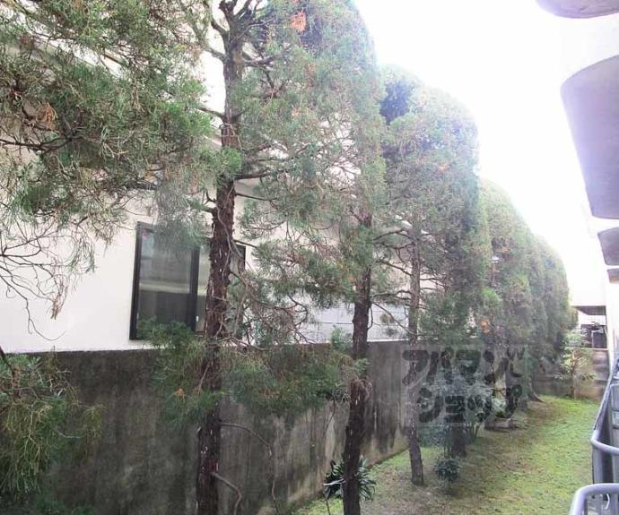 【ハイツ池田】間取