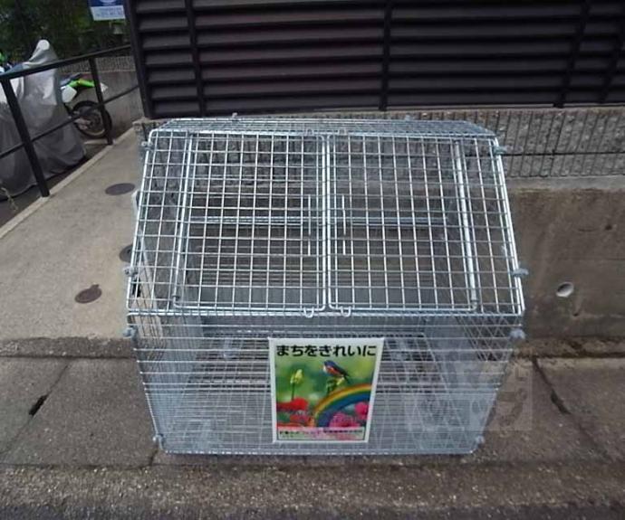 【ハイカムール今原】間取