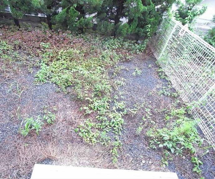 【ラフォーレダイゴＢ棟】間取