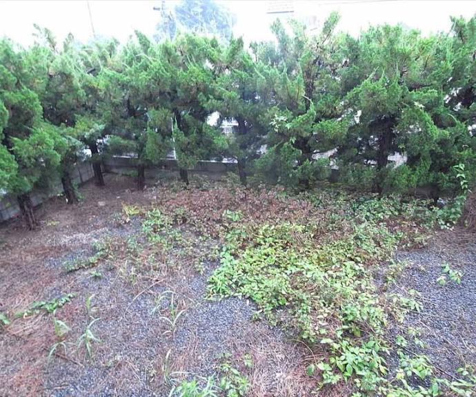 【ラフォーレダイゴＢ棟】間取