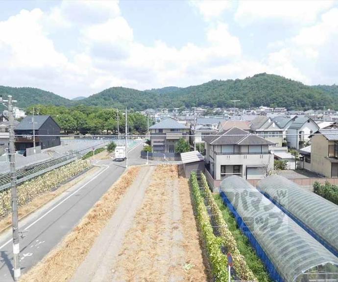 【レザンス高縄】間取