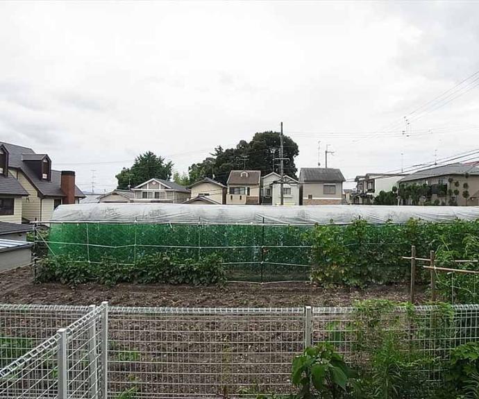 【ラフォーレダイゴエステ】間取