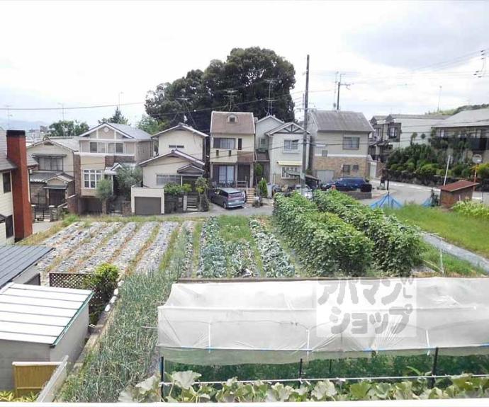 【ラフォーレダイゴエステ】間取