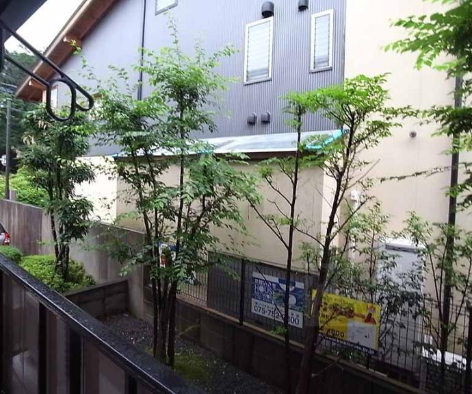 【クレールかきつばた】間取
