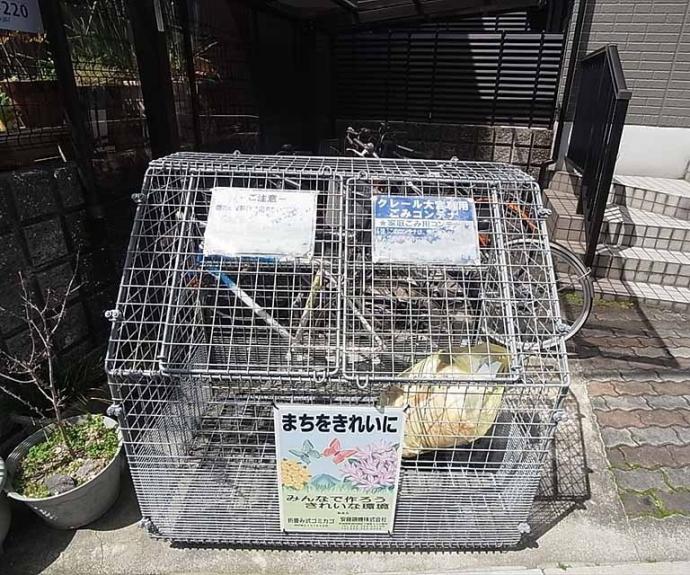 【クレール大宮】間取