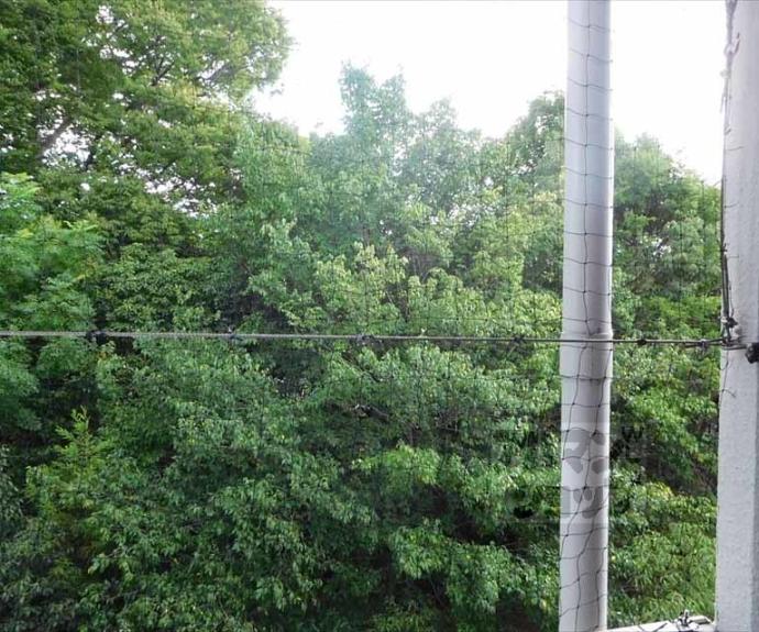 【グリーンパレス衣笠】間取