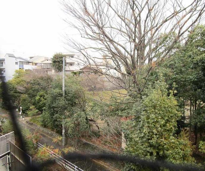 【グリーンパレス衣笠】