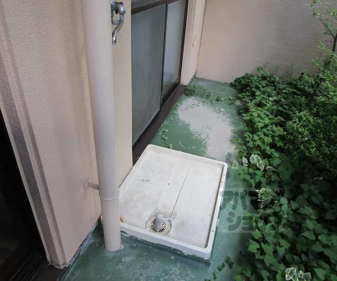 【アクアエルフ上賀茂】間取