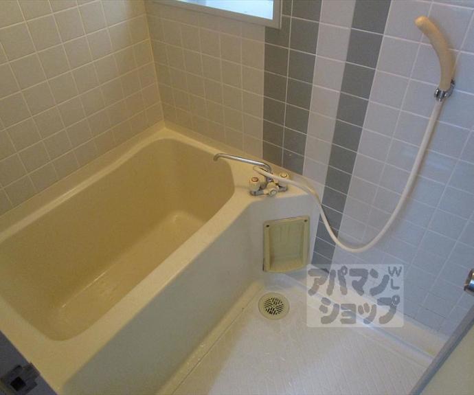 【メゾンドールグリーンハイツ】間取