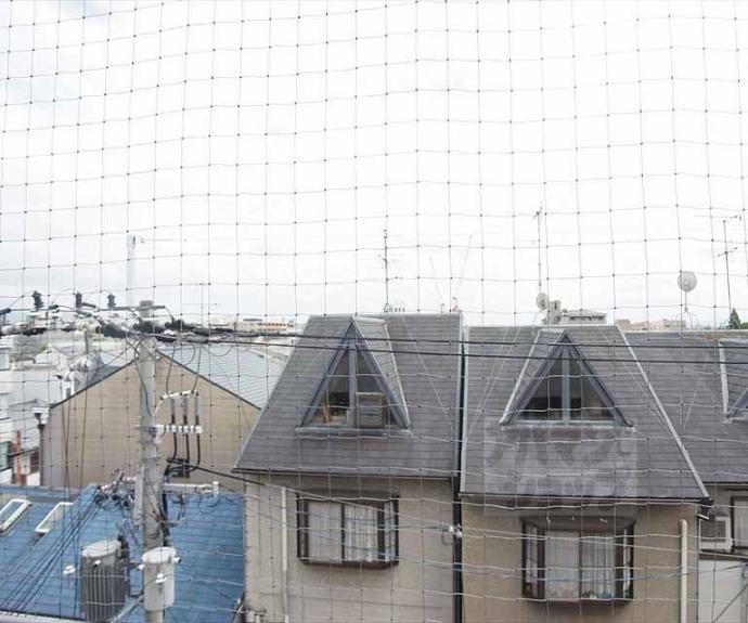 【新大宮ハイツ】間取