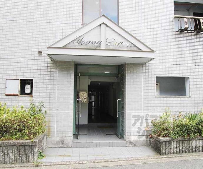 【ヤングリーブス】間取