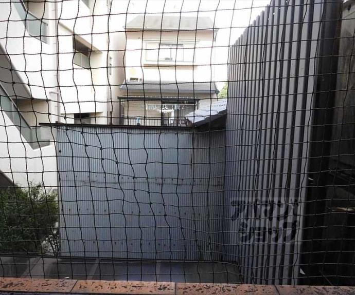 【コーポたくみ】間取