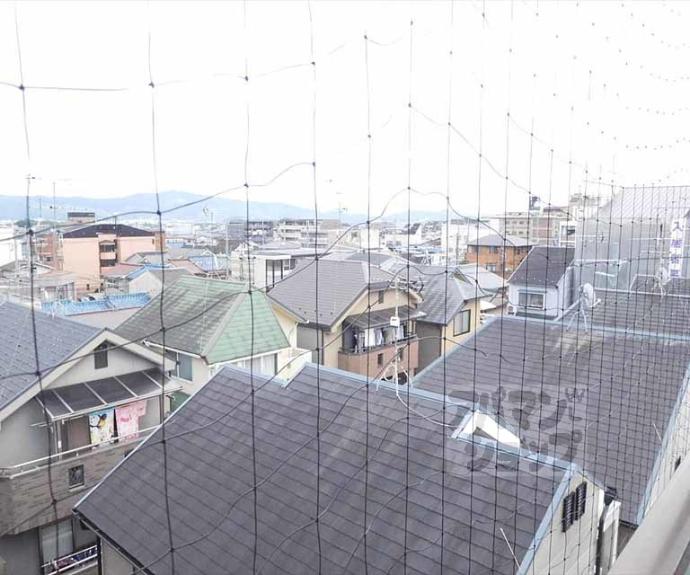 【第２メゾンミソノ】間取