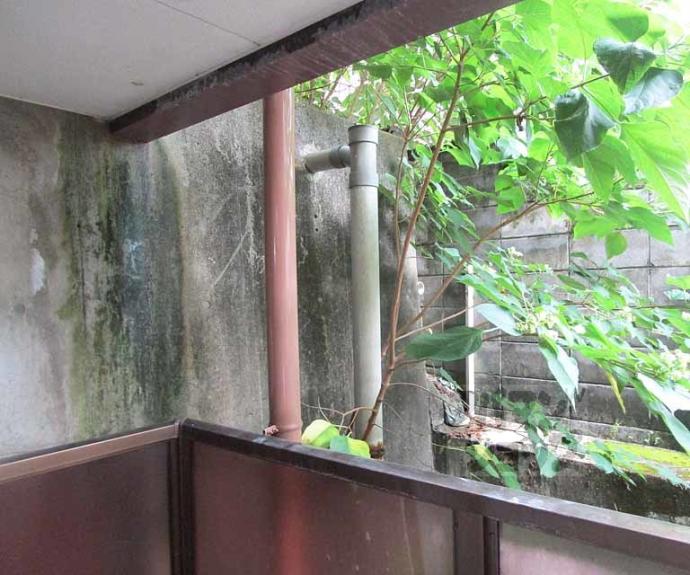 【ハイツ協栄】間取