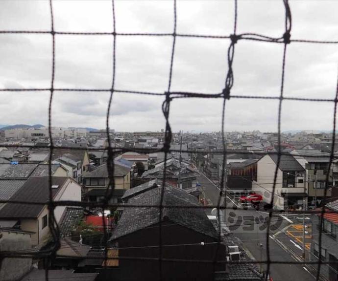 【プリムローズ・アネックス】間取