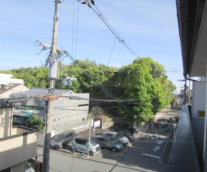 【Ｍｉｒｅｉ紫野】間取