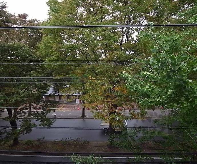 【Palazzo植物園】間取