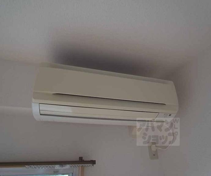 【Palazzo植物園】間取