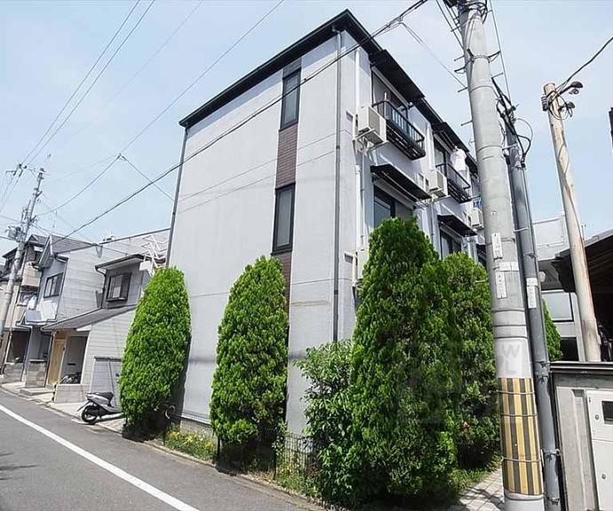 【メゾン陽生】間取