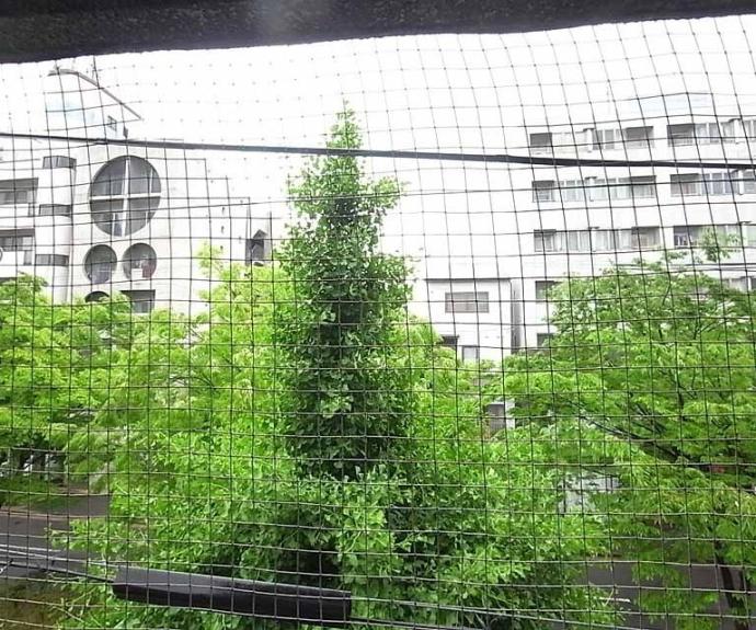 【ＮＡＶＩⅡ】間取