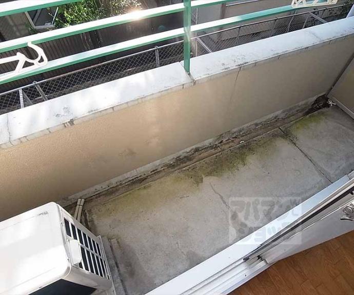 【シャインズフラッツ】間取